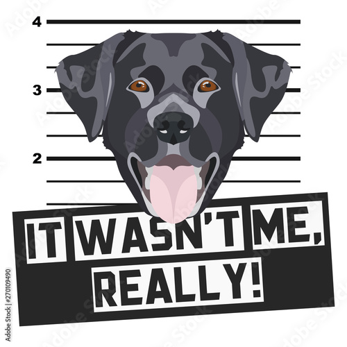 Mugshot Polizeifoto schwarzer Labrador