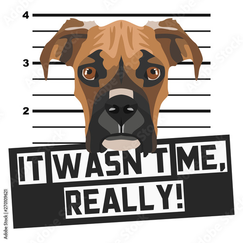 Mugshot Polizeifoto Boxer