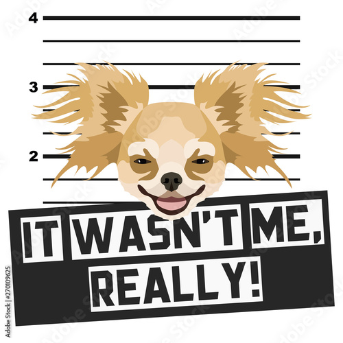 Mugshot Polizeifoto Chihuahua