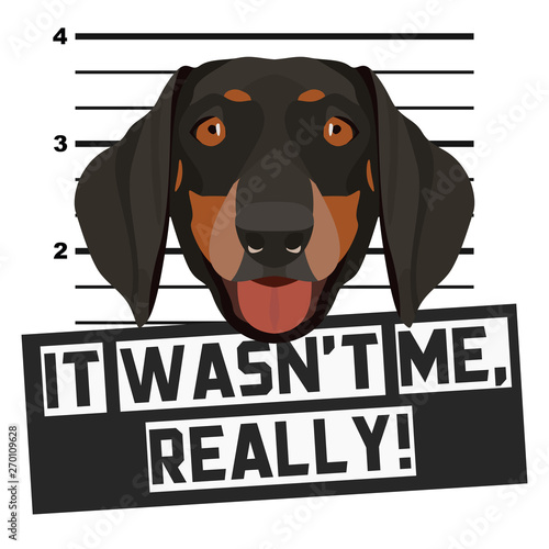 Mugshot Polizeifoto Dackel