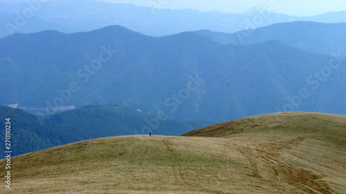 Person wandering on alpine pastures on a clear hot day
