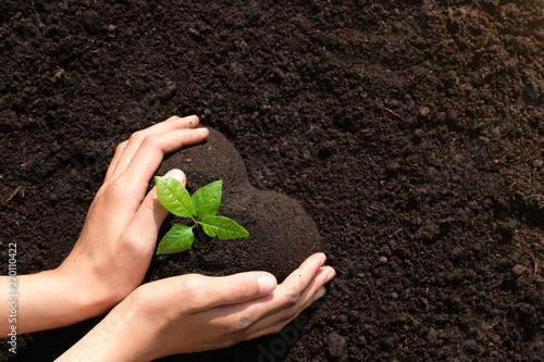 High angle view close up two  hands holding one young seedling  in heart shape soil. Environmental awareness, planting trees project, save earth and secure the future for children and next generation.