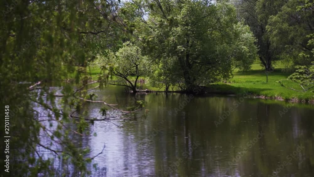 Nature shot overlooking pond, trees, and grass Nature shot overlooking pond, trees, and grass