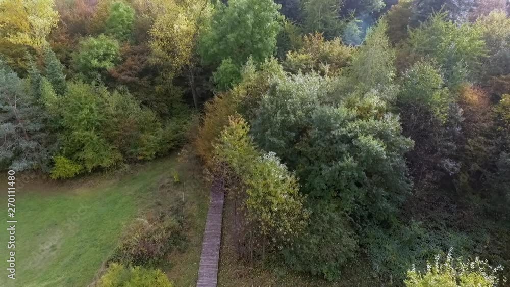 Flight over the beautiful green forests of Germany in daylight. Flight over the beautiful green forests of Germany in daylight.