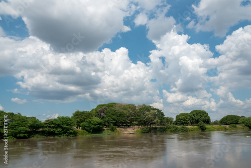 Leafy trees on the shore of the Magdalena River on a sunny day. Colombia