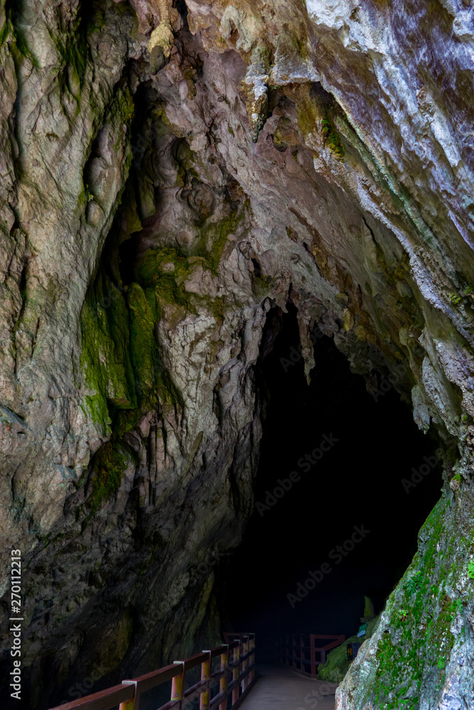 The entrance of a limestone cave 