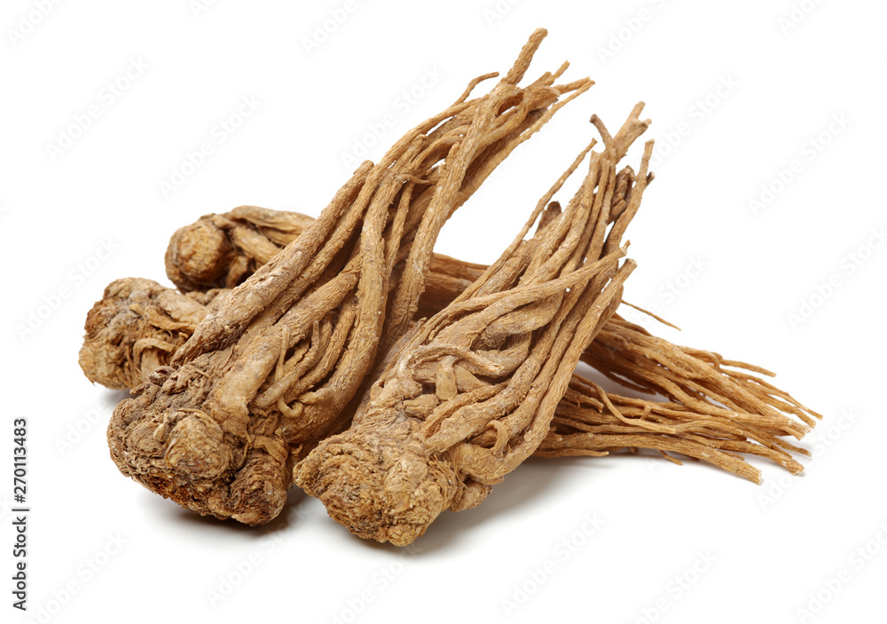 Angelica root used in chinese traditional herbal medicine, over white background. Radix angelicae sinensis