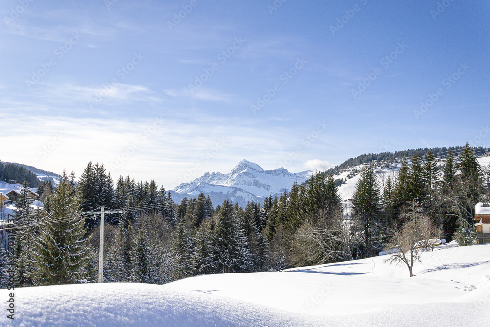 Paysage de montagne dans les Alpes 
