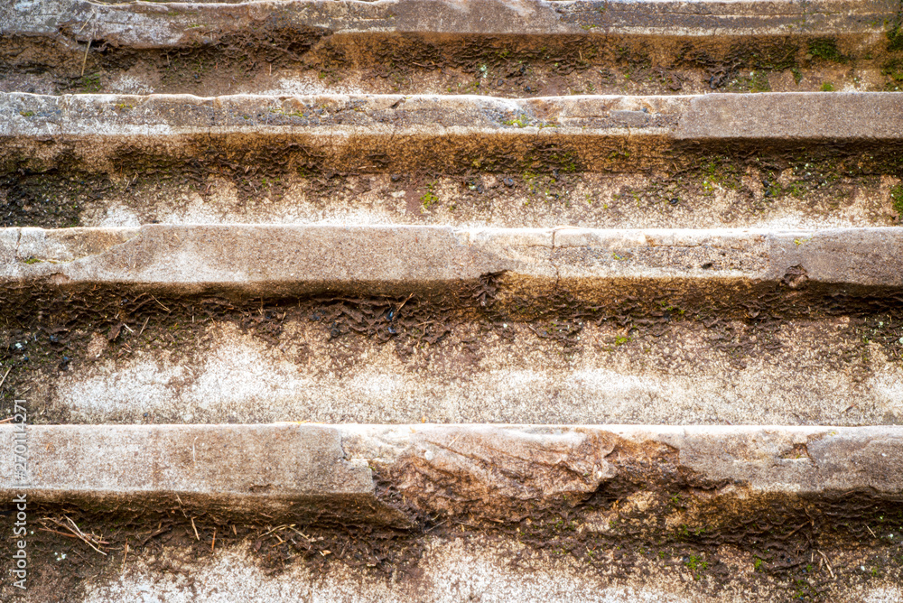 Stone stairs with mossy shadows