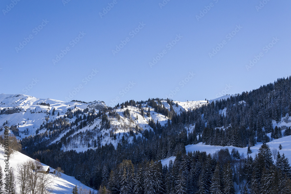 Paysage de montagne dans les Alpes