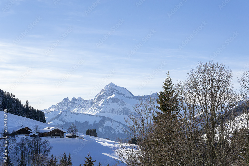 Paysage de haute montagnes eneigés dans les Alpes