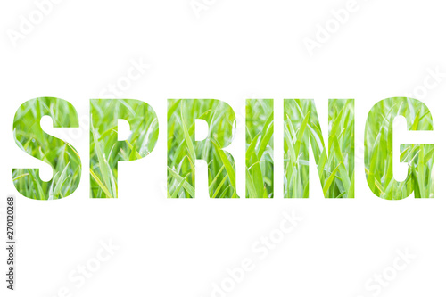 Word SPRING with nature images inside the letters  isolated on white background  concept of springtime