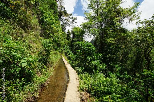 Canal de Beauregard in Martinique