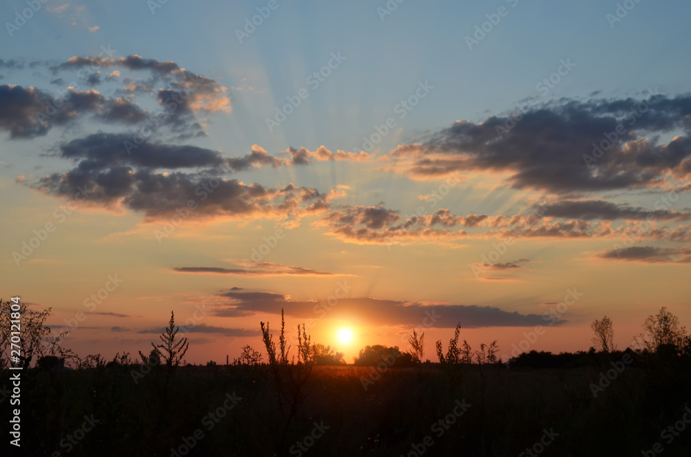 Beautiful sunset with cirrus clouds over Ukrainian meadows