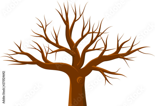 Leafless tree isolated on white background