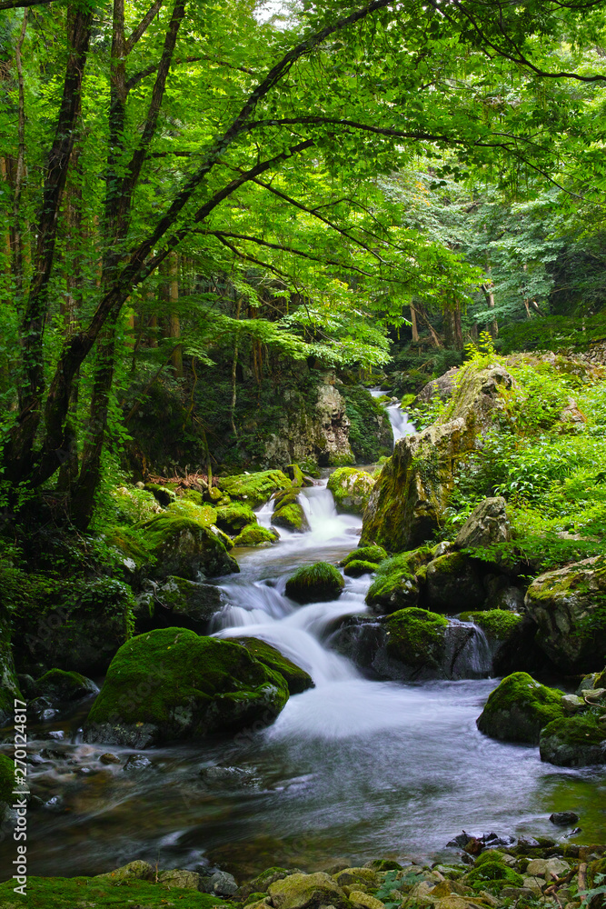 鏡野・白賀渓谷