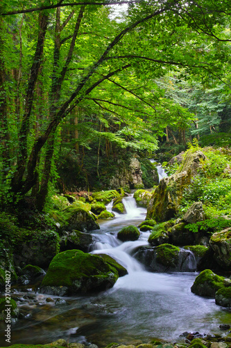 鏡野・白賀渓谷