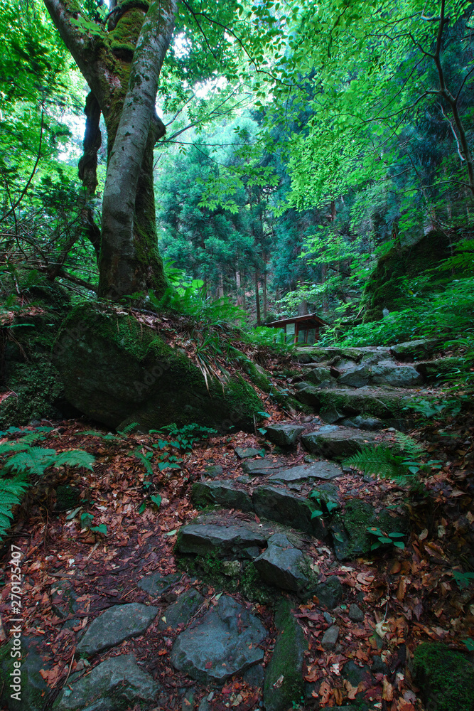山乗渓谷・不動滝