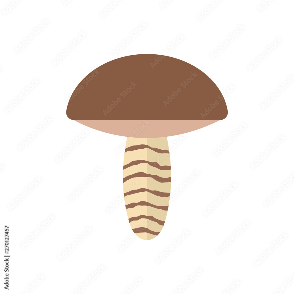 Flat Illustration of Birch Mushroom