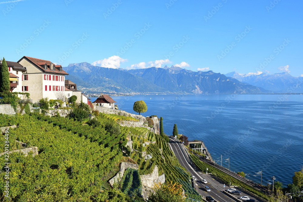 View from Lavaux