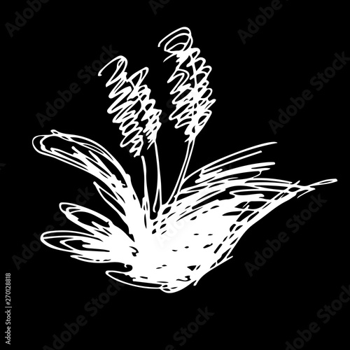 Abstract reed branch outline icon isolated on black background. Creative luxury fashion logotype concept icon. Hand Drawn vector illustration. Reed logo