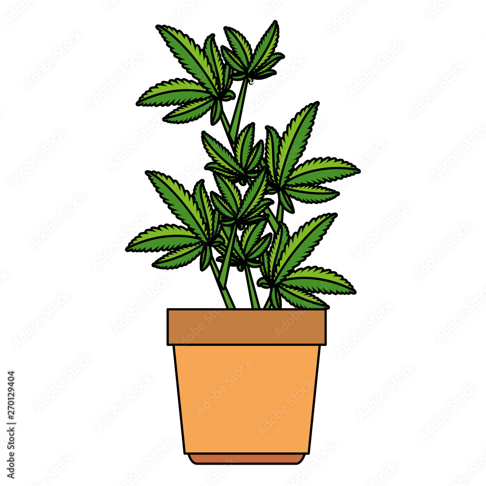 cannabis plant in pot icon cannabis plant in pot icon