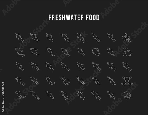Set Vector Line Icons of Freshwater Fish