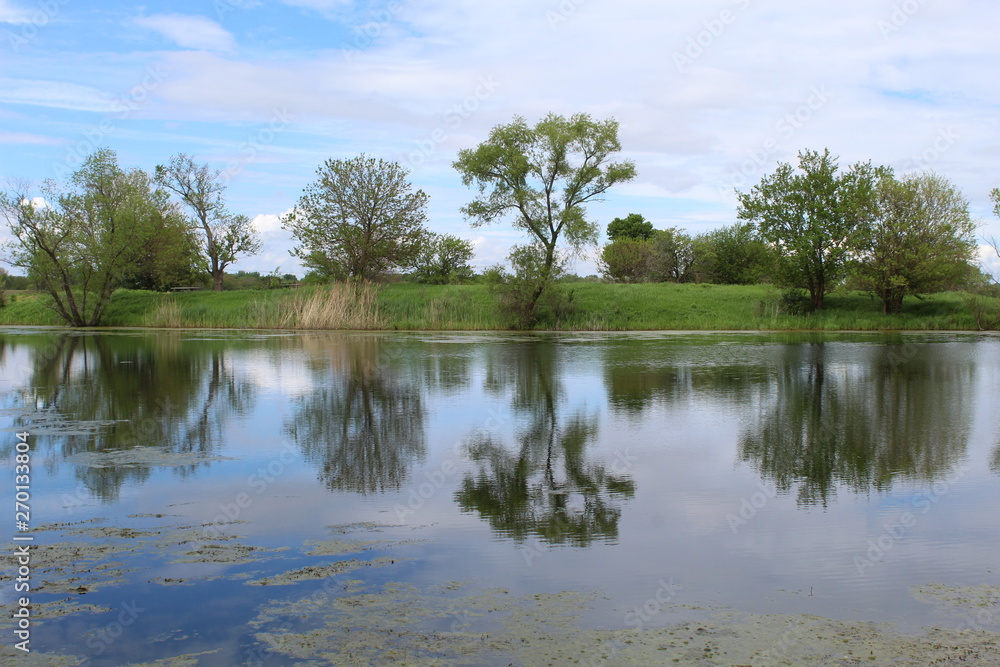 Turtle Pond at Midewin National Tallgrass Prairie
