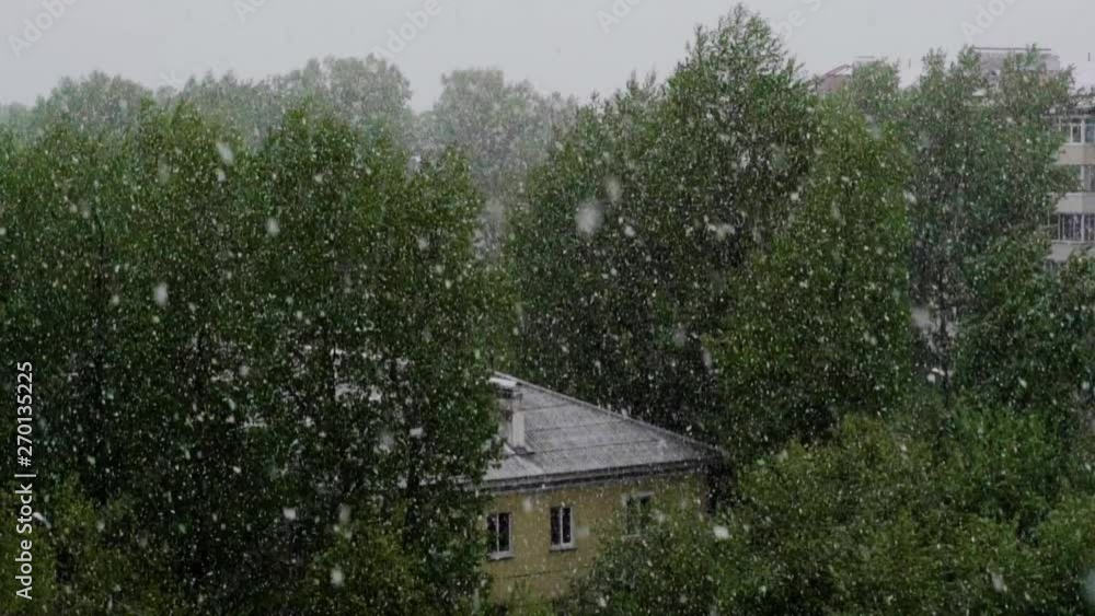 global climate change. summer snow falling on the background of green trees in the city global climate change. summer snow falling on the background of green trees in the city