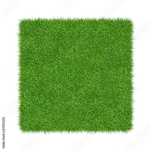Green grass. Natural texture background. Fresh spring green grass. Isolated on white background.