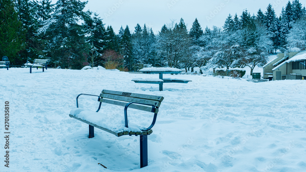 Snow-covered benches at Burnaby Mountain Park - late winter