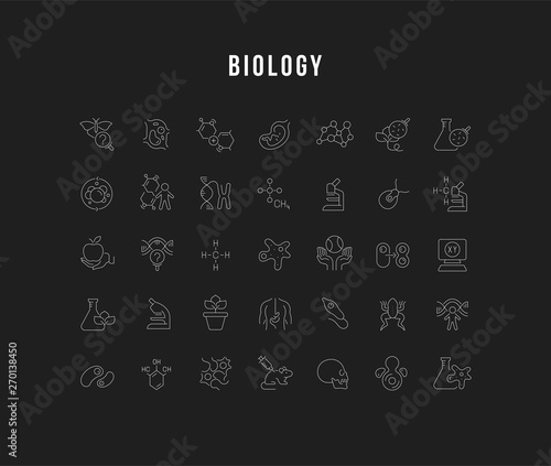 Set Vector Line Icons of Biology