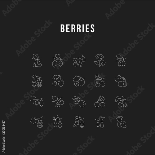 Set Vector Line Icons of Berries