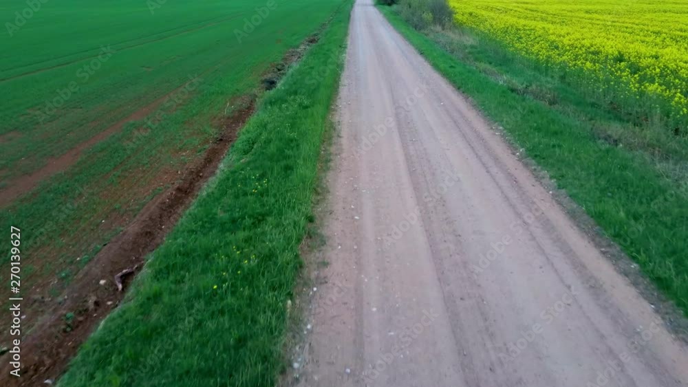 Flight Over Field With Flowering Canola Flowers and Country Road. Aerial Dron Footage. Flowering Rapeseed Canola or Colza in Latin Brassica Napus, Plant for Green Energy and Oil Industry, Rape Seed. Flight Over Field With Flowering Canola Flowers and Country Road. Aerial Dron Footage. Flowering Rapeseed Canola or Colza in Latin Brassica Napus, Plant for Green Energy and Oil Industry, Rape Seed.