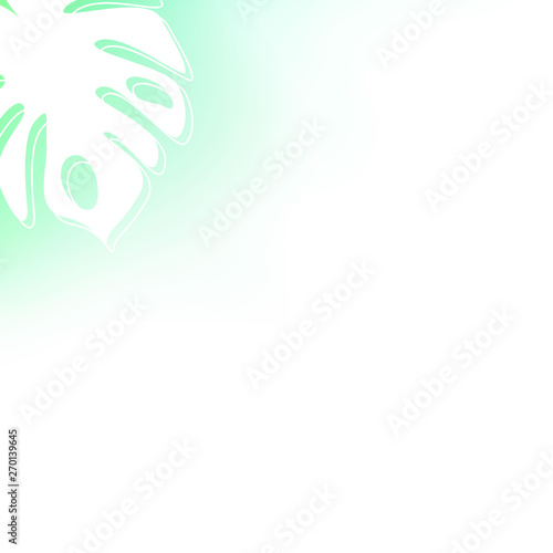 White leaf of palm on green background. Minimalistic summer botanical background. Illustration.