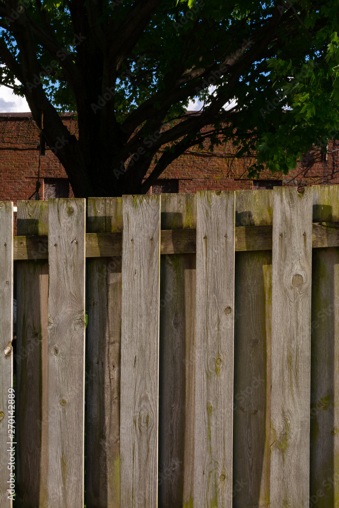 Wooden fence