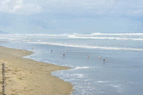 Ocean Beach State Beach  San Francisco  CA 