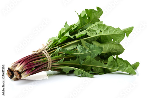 Dandelion, Dandelion Green, Leaf Vegetable on white background photo