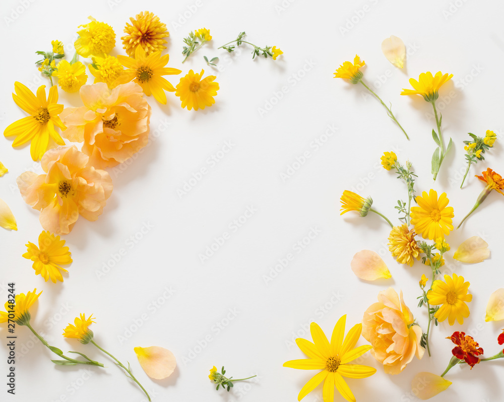 Obraz premium yellow and orange flowers on white background
