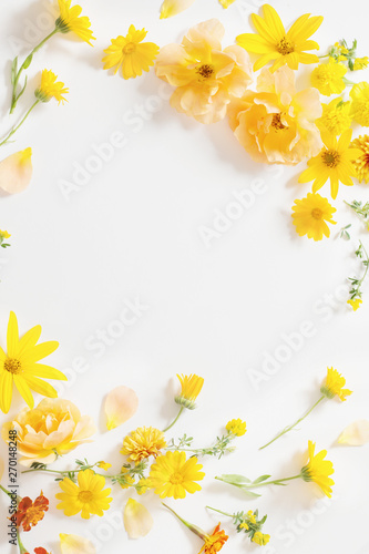 yellow and orange flowers on white background © Maya Kruchancova