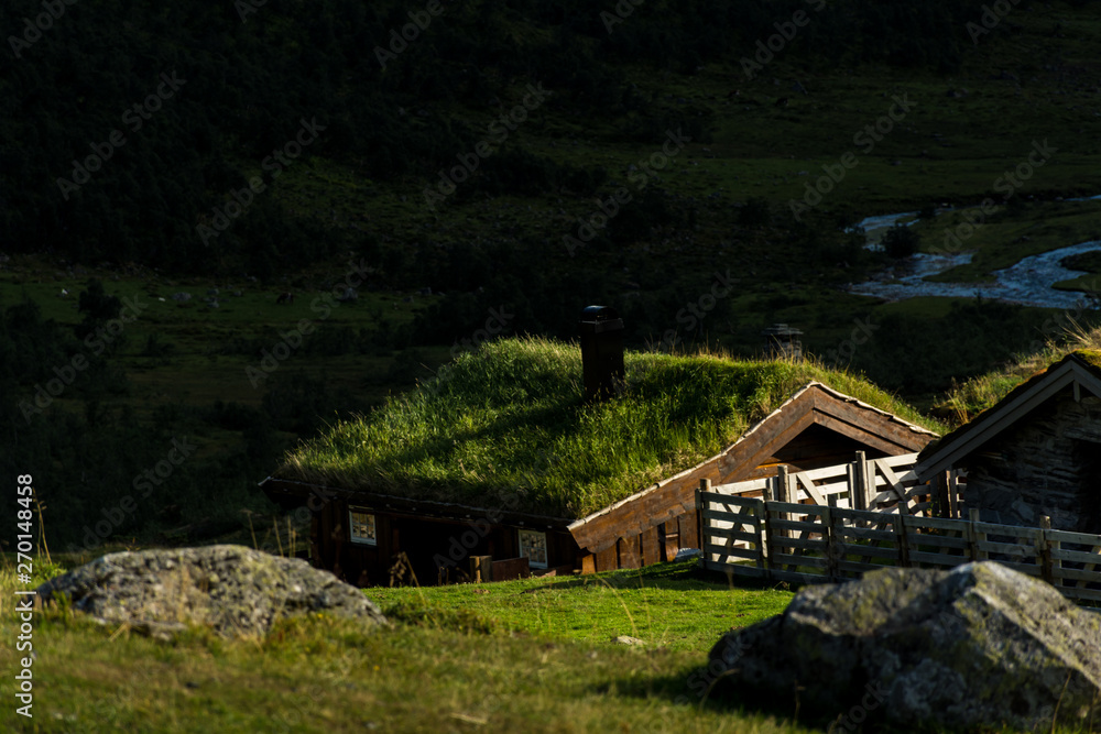 Fototapeta premium Traditional sod roof a on log cabin, in Norway