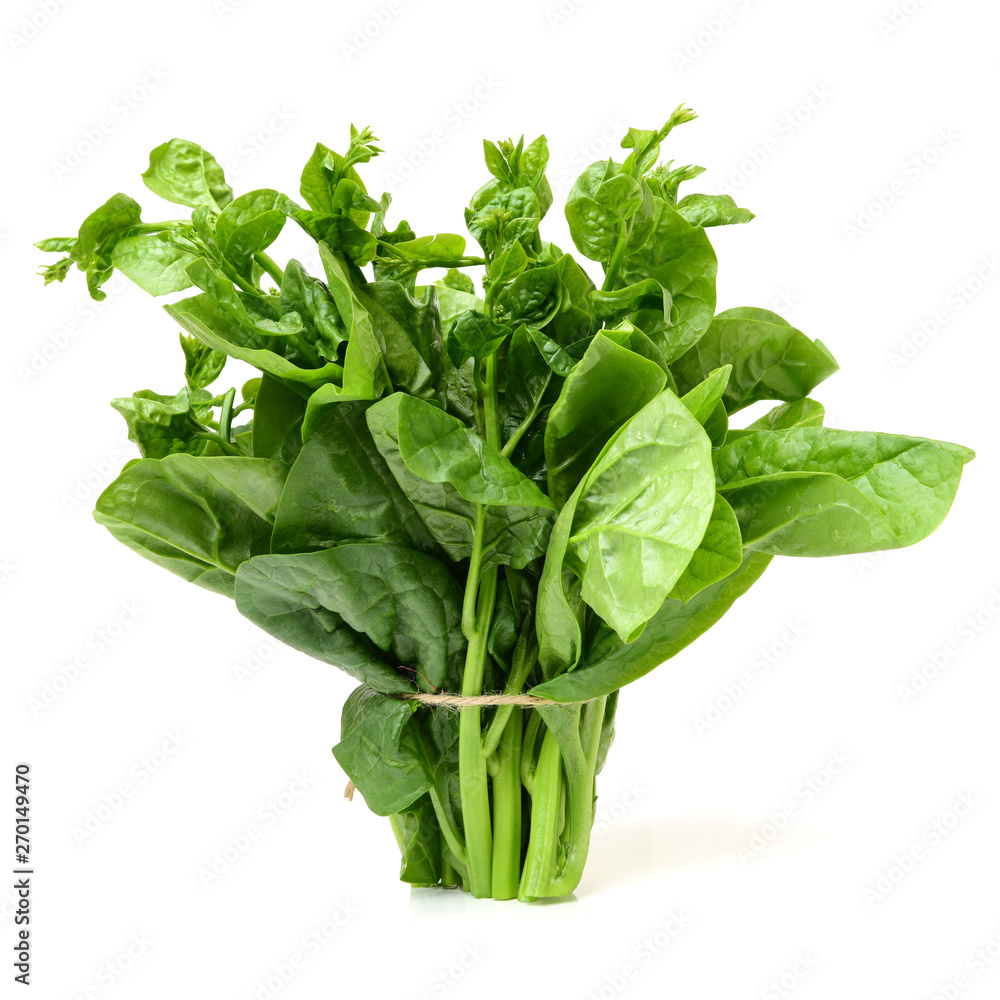 Thai malabar isolated on white background Thai malabar isolated on white background