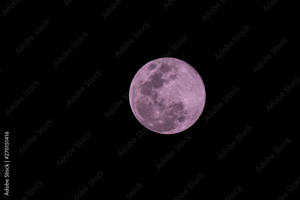 Obraz premium Pink Moon Full moon for Easter