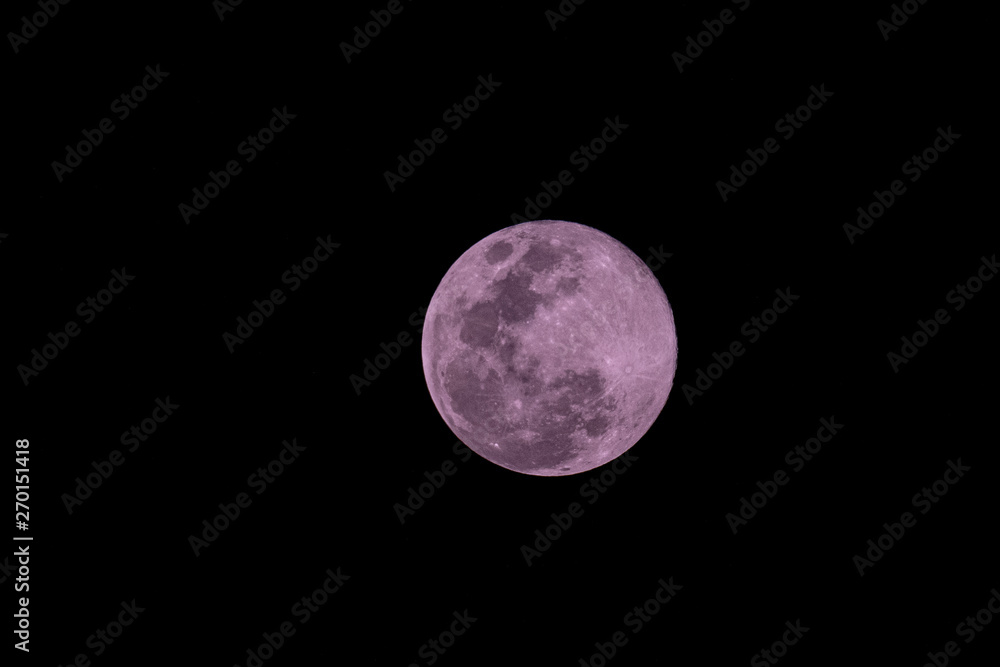 Fototapeta premium Pink Moon Full moon for Easter