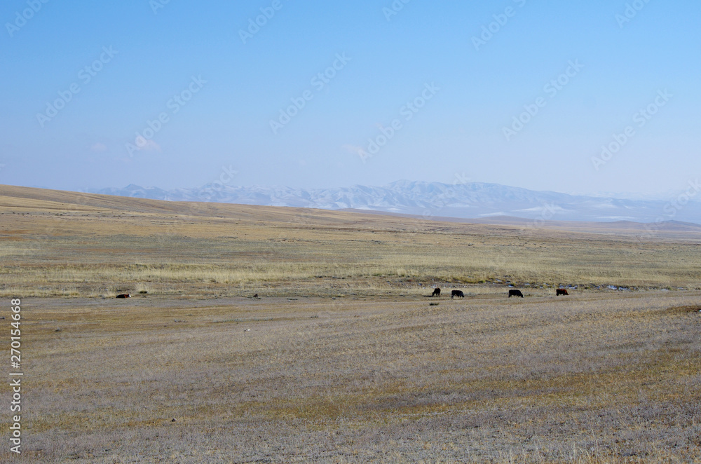 Obraz premium ホスタイ国立公園の大パノラマ