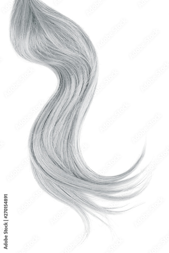 Gray hair isolated on white background. Long wavy ponytail Gray hair isolated on white background. Long wavy ponytail