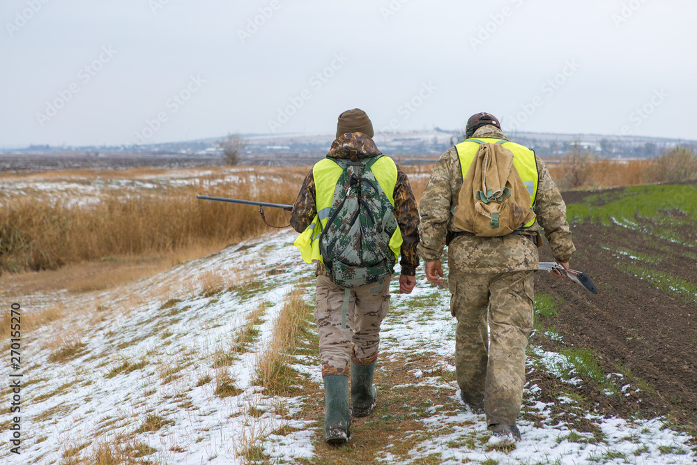 Naklejka premium Hunters with a german drathaar and spaniel, pigeon hunting with dogs in reflective vests 