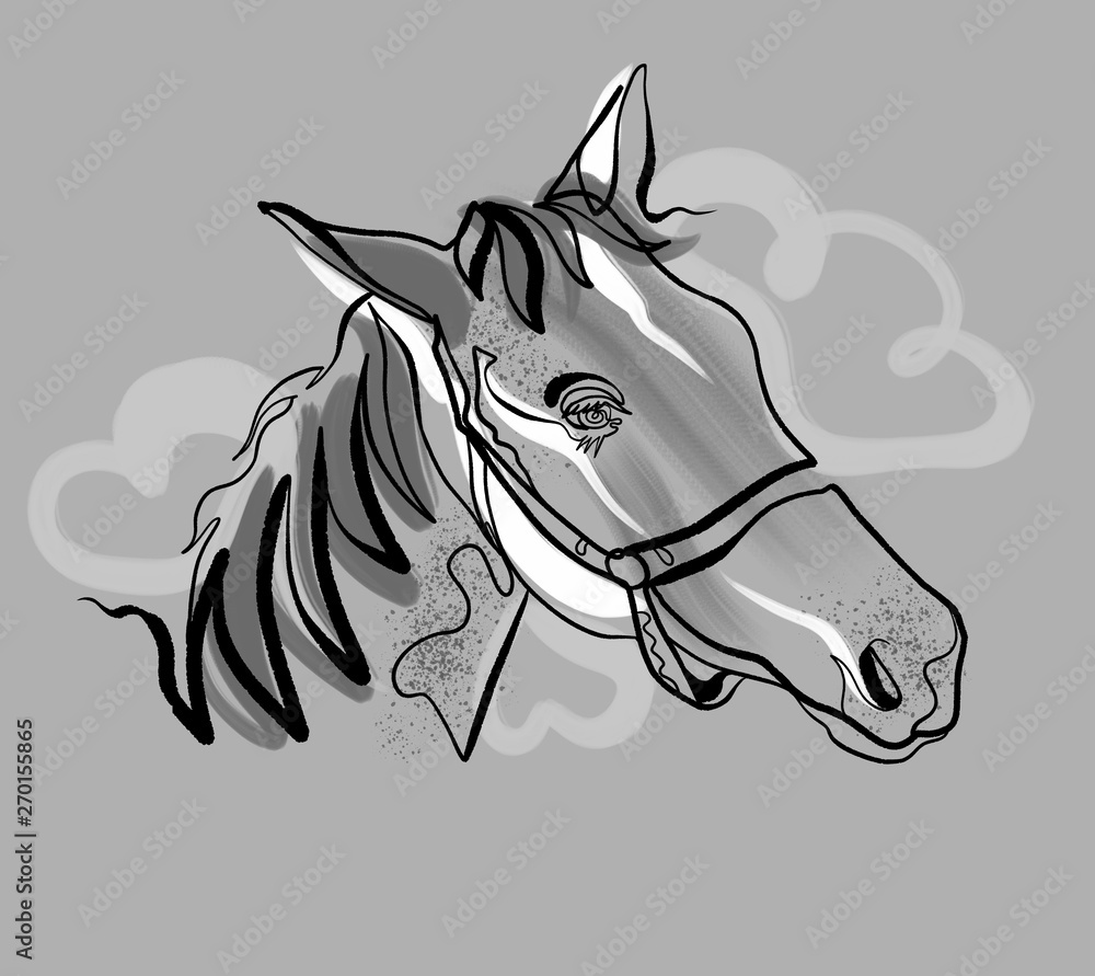 head of a horse, continuous line with modern art brush strokes, minimalist drawing Stock