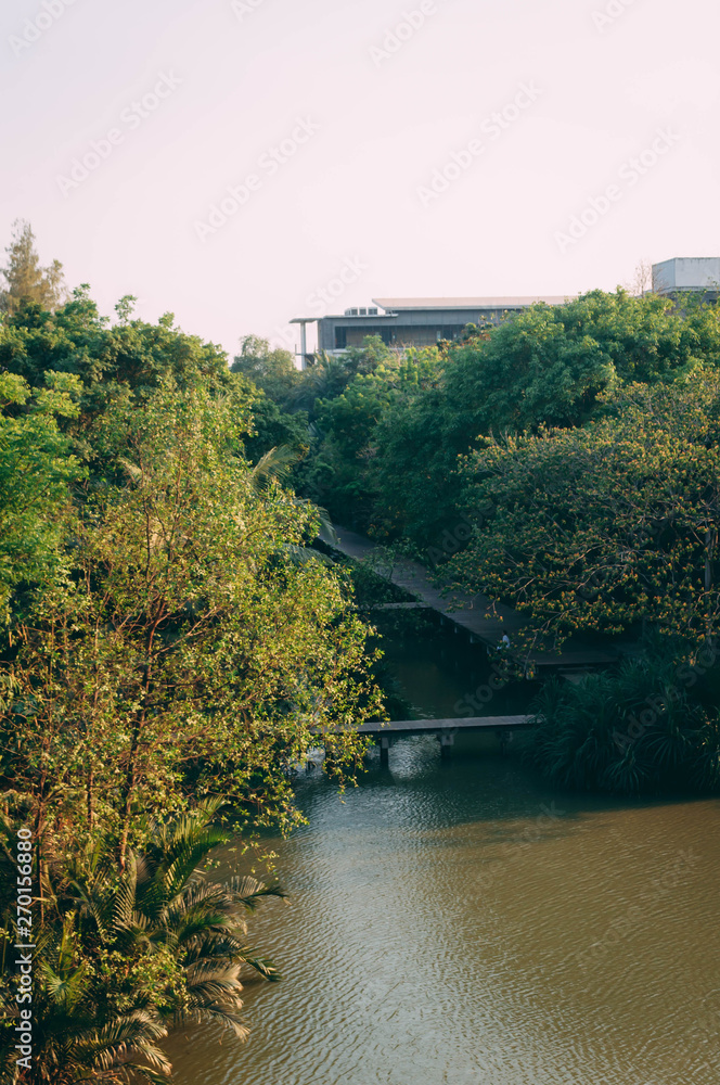 Obraz premium Walk path made from wood to cross the river in the evening, Thailand