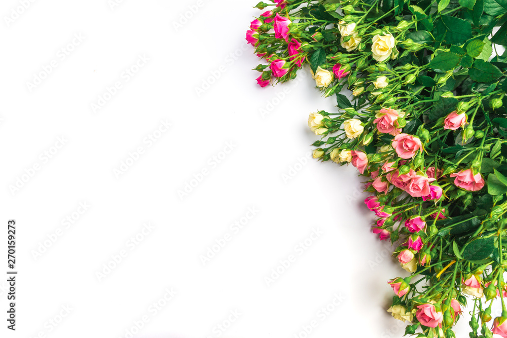 bouquet of small colored roses on a white background - Image